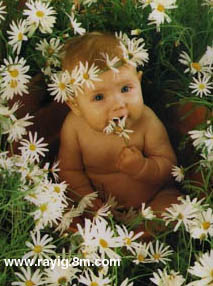 bébé